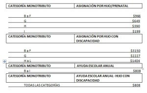 CATEGORÍA MONOTRIBUTO